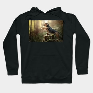 Dachshund Digital Painting Hoodie